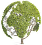 Global Green Tree